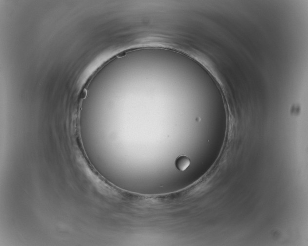 X0000111781101200907301115