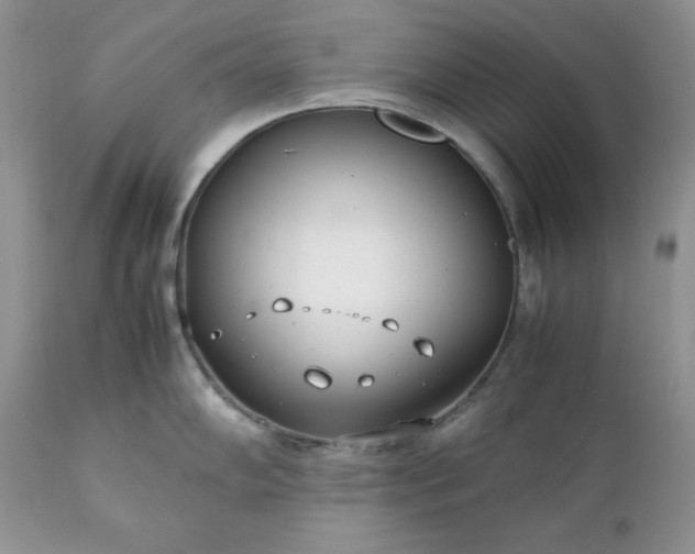 X0000111781102200907301115