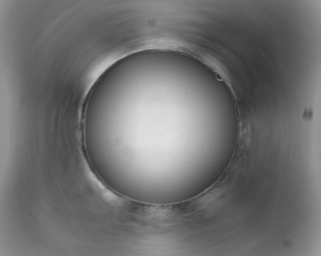X0000111781103200907301115
