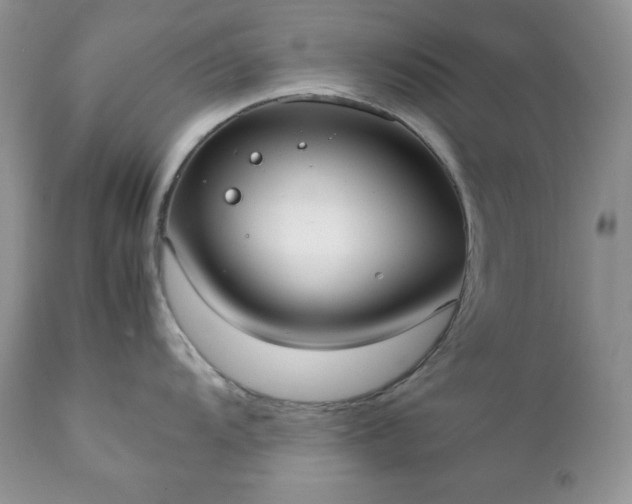 X0000111781104200907301115