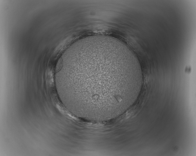 X0000111781106200907301114