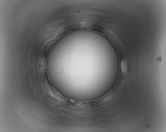 X0000111781107200907301114