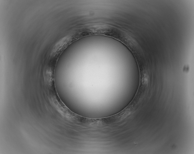 X0000111781108200907301114