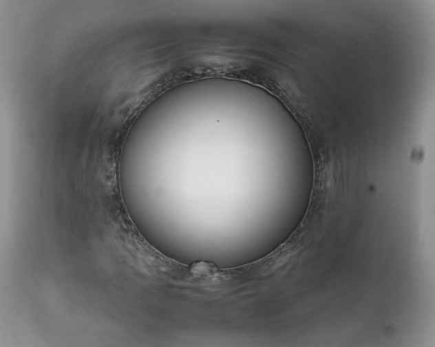 X0000111781109200907301114
