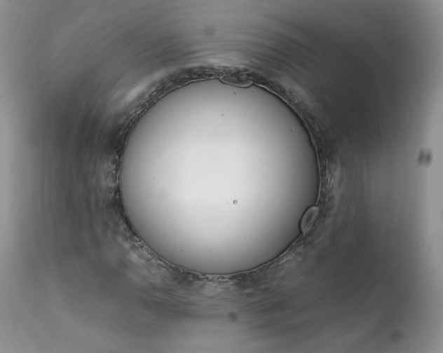 X0000111781110200907301114