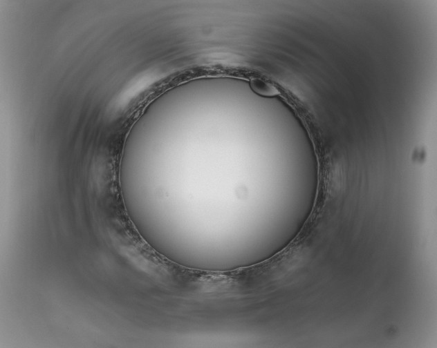 X0000111781112200907301114