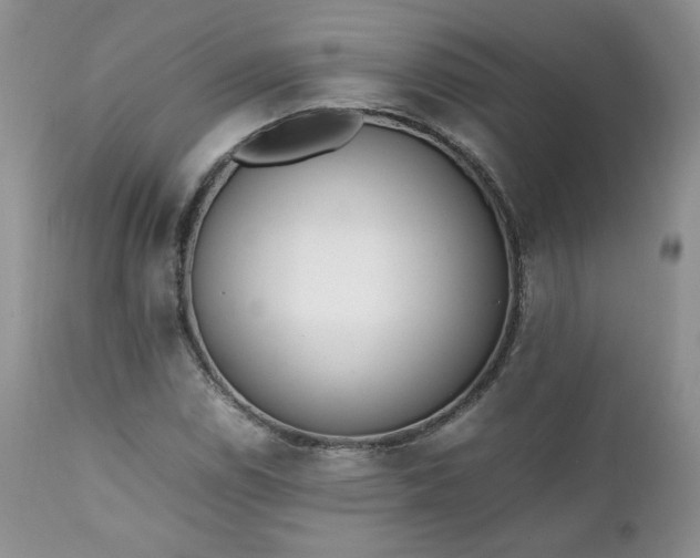 X0000111781114200907301114