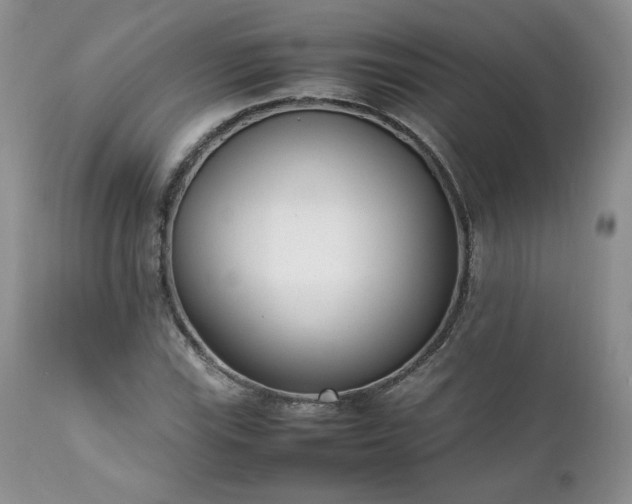 X0000111781115200907301114
