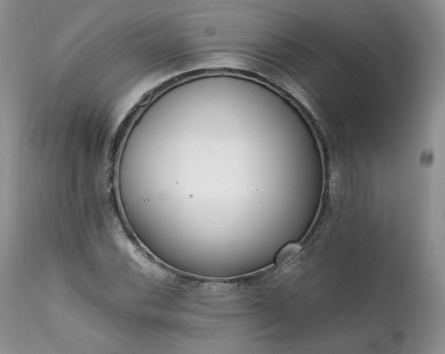 X0000111781116200907301114