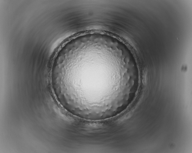 X0000111781117200907301114