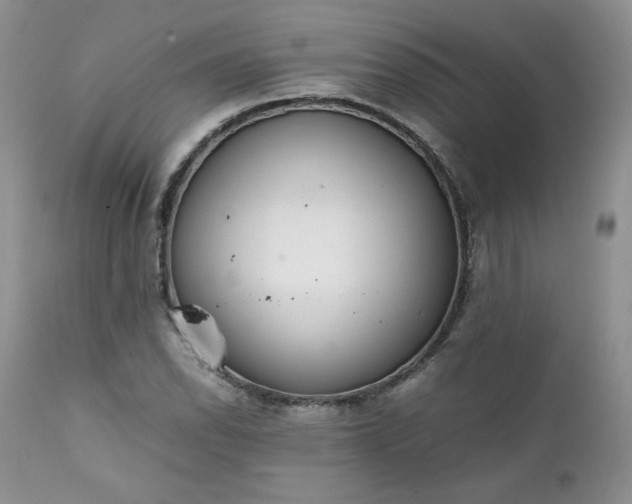 X0000111781118200907301114
