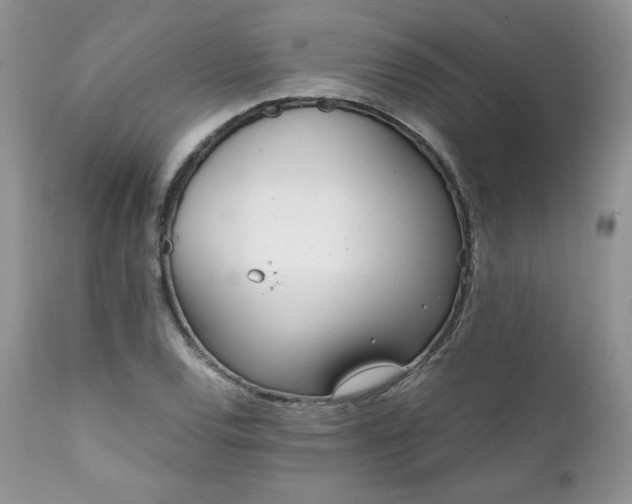 X0000111781120200907301114