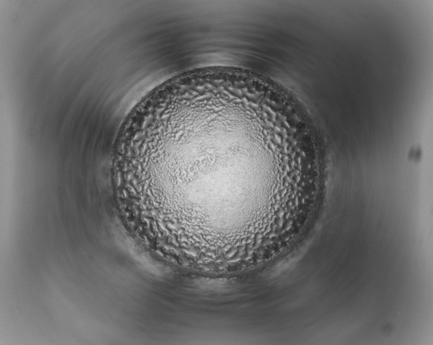 X0000111781121200907301114