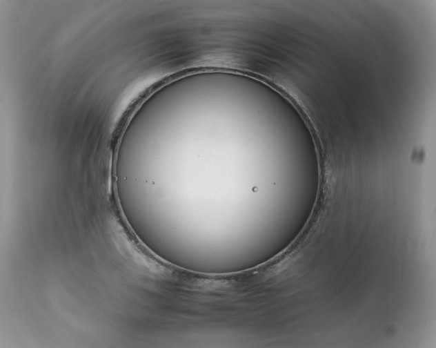 X0000111781123200907301114
