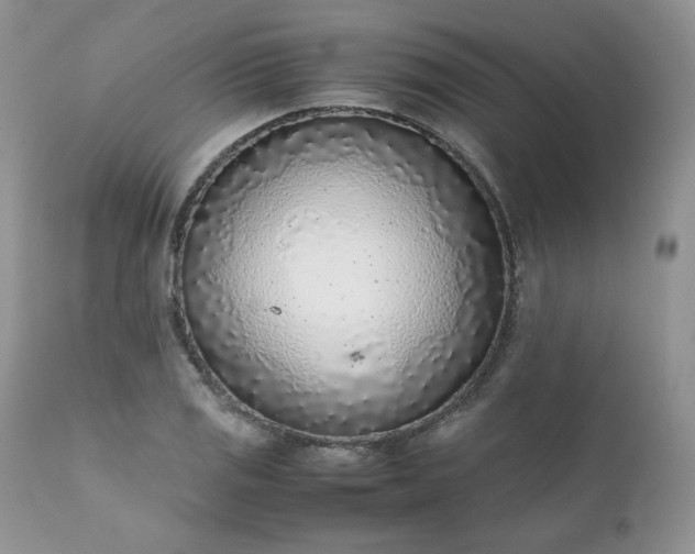X0000111781125200907301114