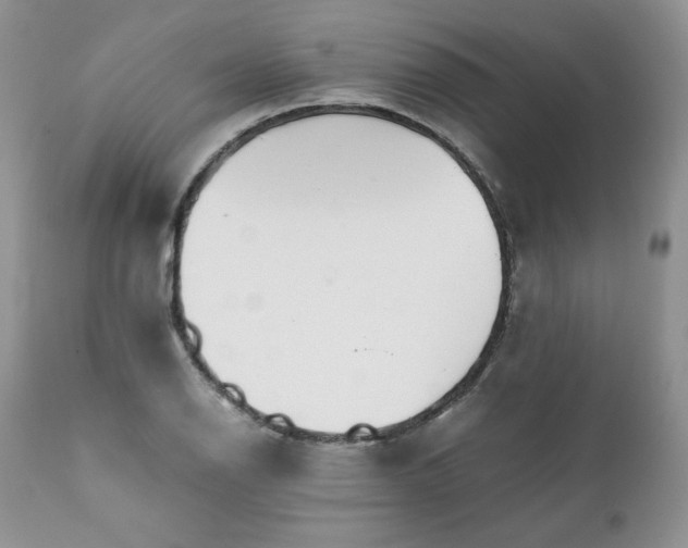 X0000111781126200907301114