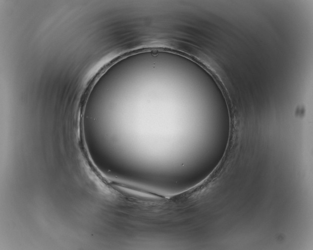 X0000111781127200907301114