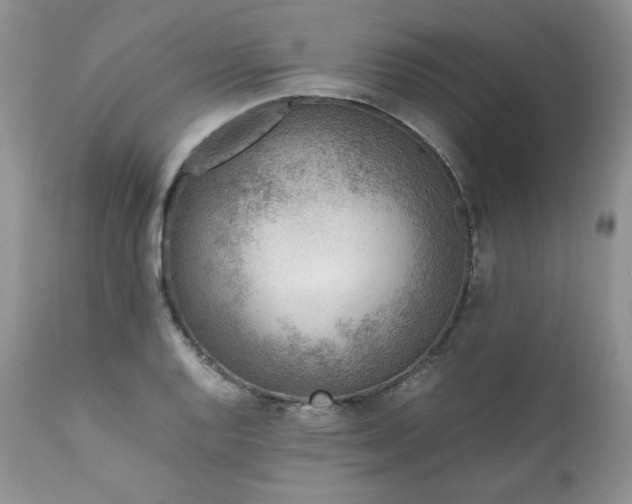X0000111781128200907301114