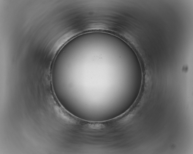 X0000111781129200907301114
