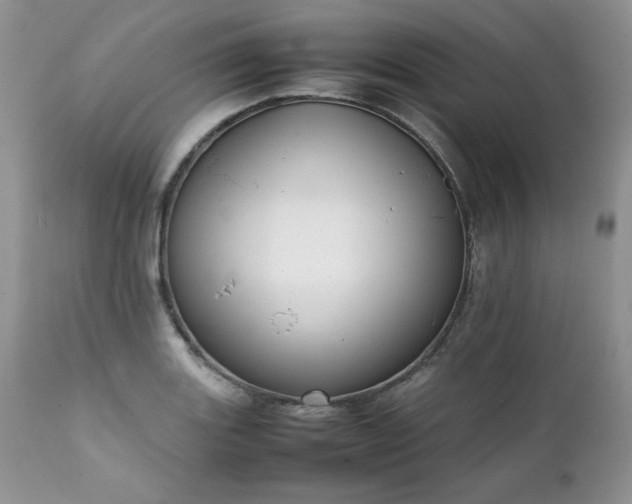 X0000111781131200907301114