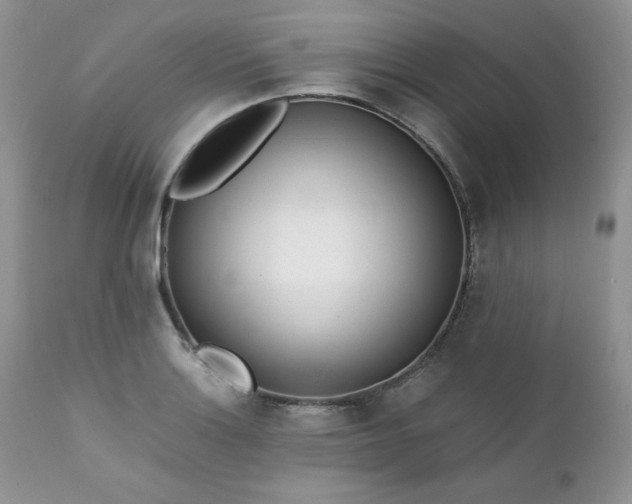 X0000111781132200907301114