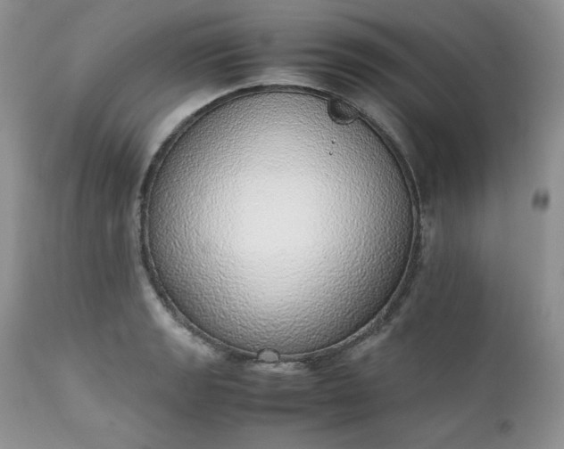 X0000111781133200907301114