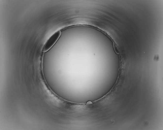 X0000111781134200907301114