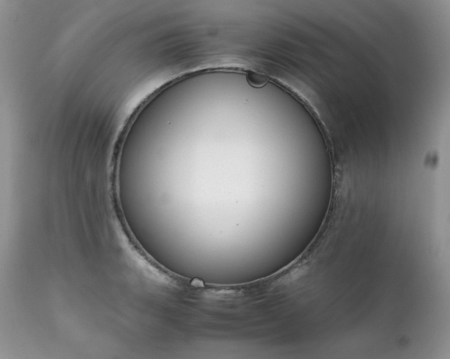 X0000111781135200907301115