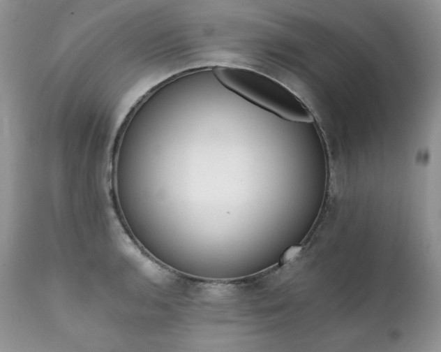 X0000111781136200907301115