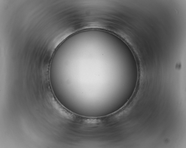 X0000111781137200907301115