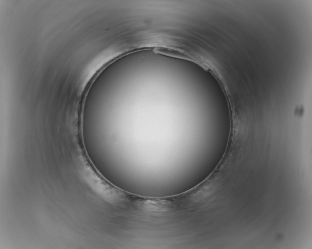 X0000111781138200907301115