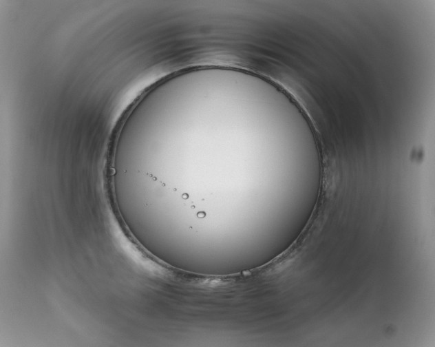 X0000111781139200907301115
