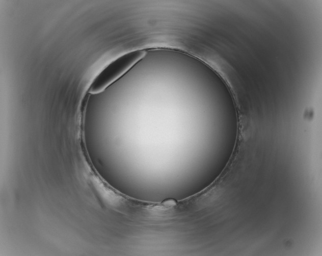 X0000111781140200907301115