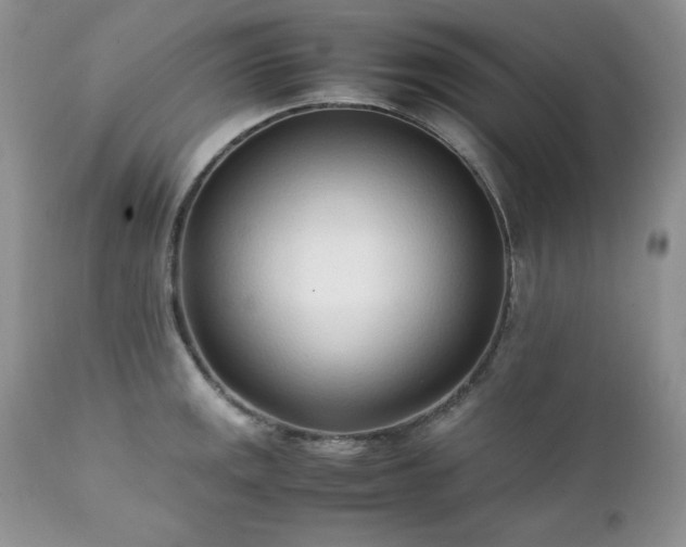 X0000111781141200907301115