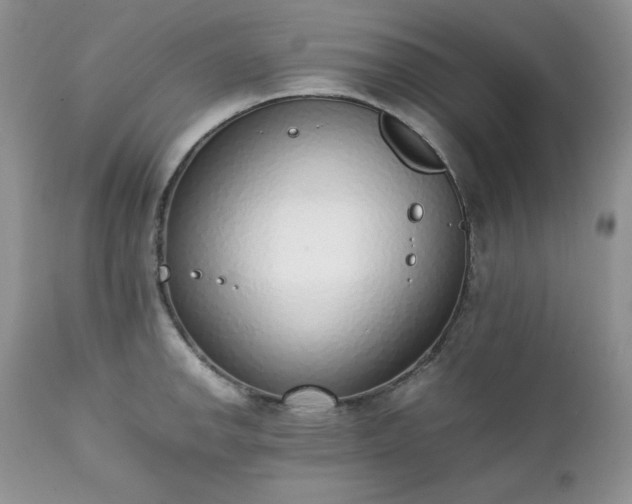X0000111781142200907301115