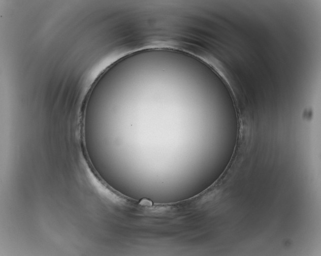 X0000111781143200907301115