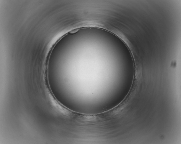 X0000111781144200907301115