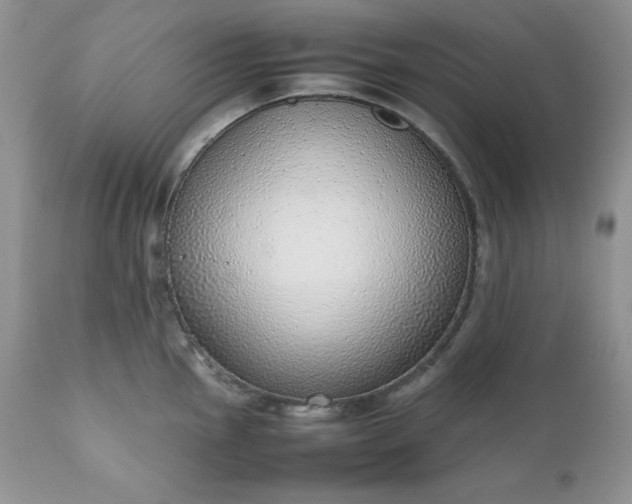 X0000111781145200907301115