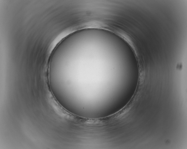 X0000111781146200907301115