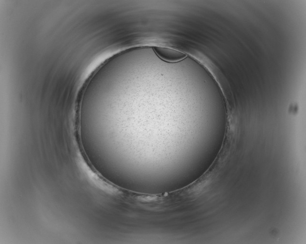 X0000111781147200907301115