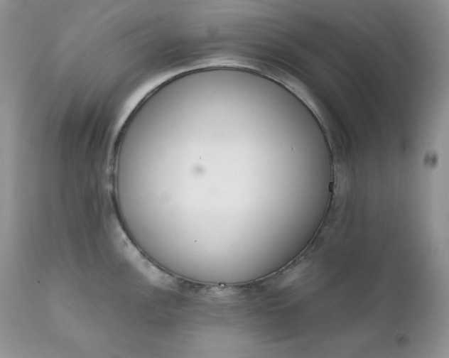 X0000111781148200907301115