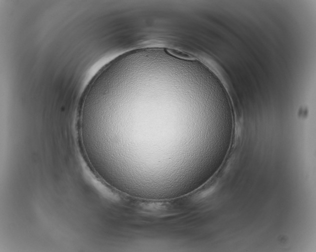 X0000111781149200907301115