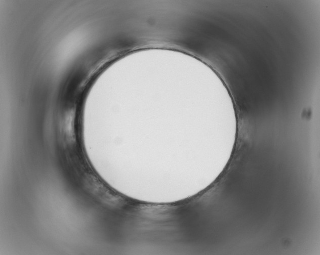 X0000111781150200907301115