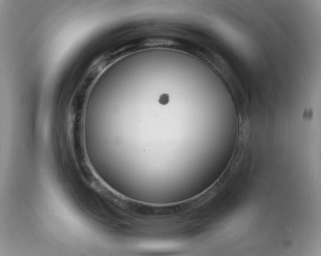 X0000111781151200907301115