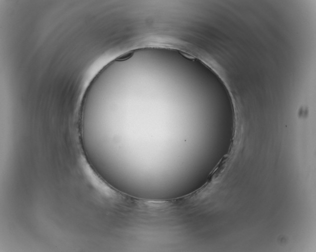 X0000111781152200907301115