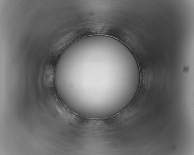 X0000111781154200907301114