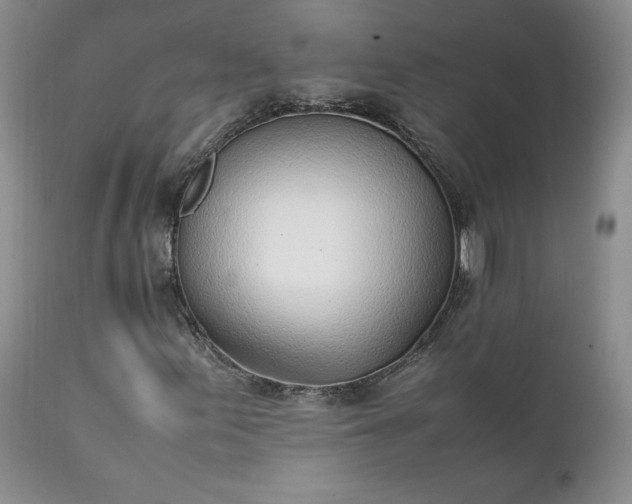 X0000111781155200907301114
