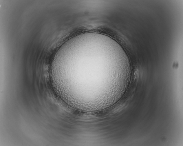 X0000111781156200907301114