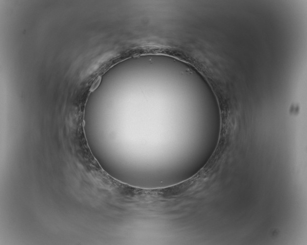 X0000111781157200907301114