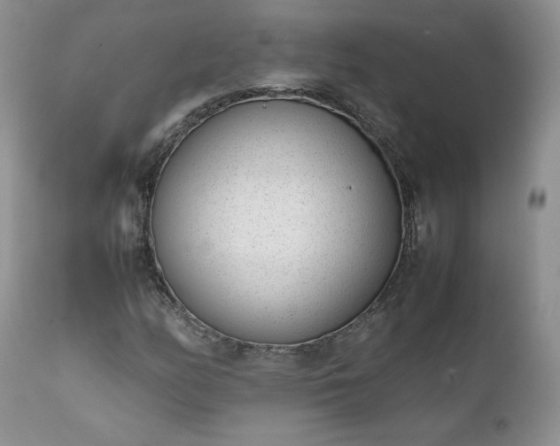 X0000111781158200907301114
